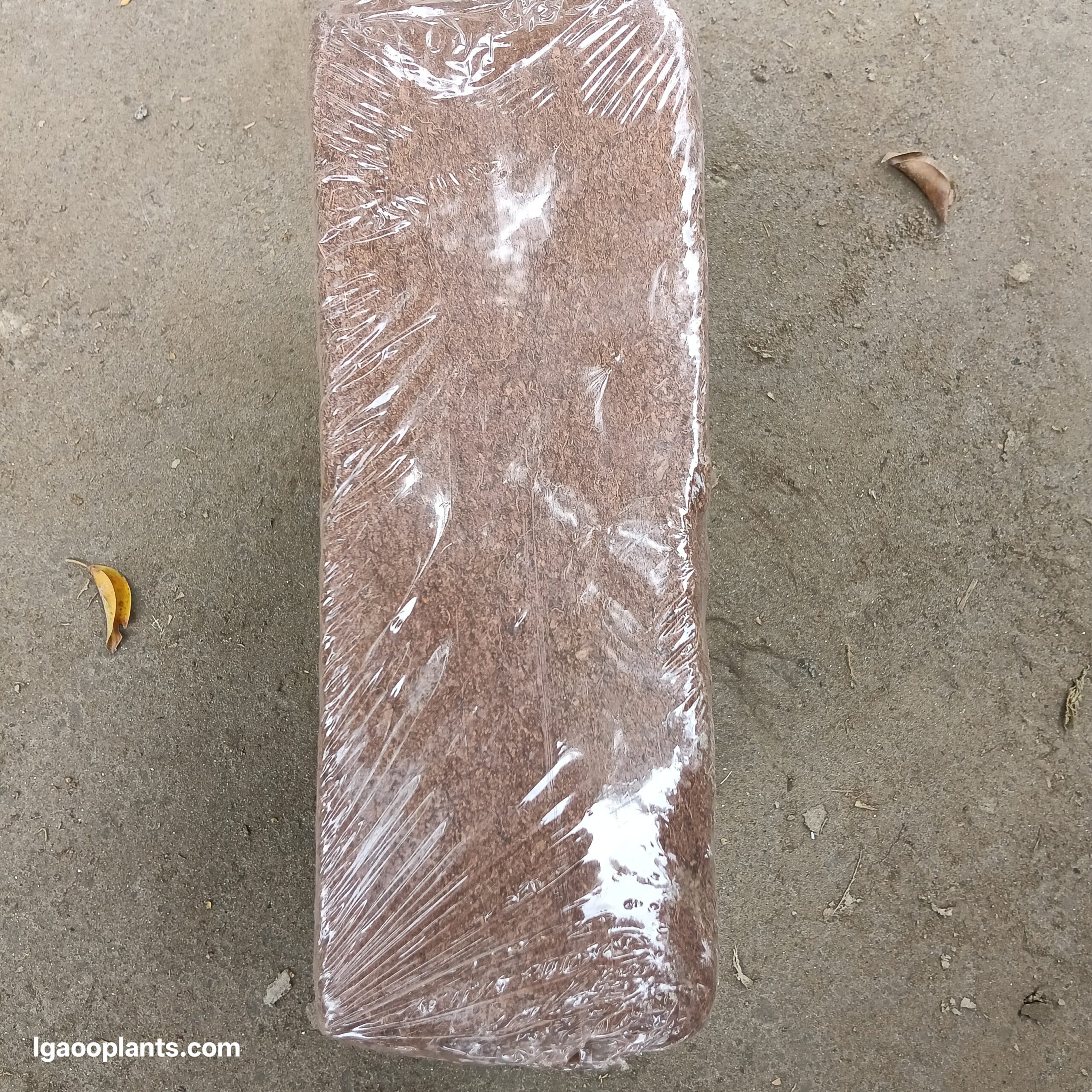 Cocopeat - 5kg Brick