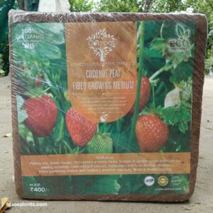 Cocopeat – 5kg Brick
