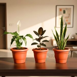 Set of 3 Indoor Plants – Peace Lily, Snake Plant & Rubber Plant |Air Purifying Plants in 6 Inch Red Pots