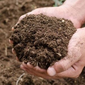 Cow Dung | Organic Gobar Khad – 1 Kg
