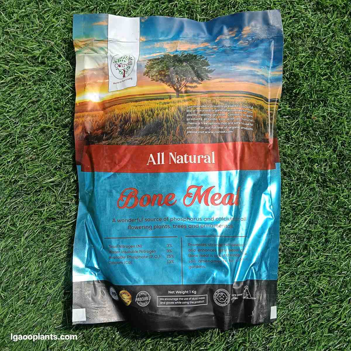 Bone Meal 1 Kg | Organic Bone Meal Powder for Plants