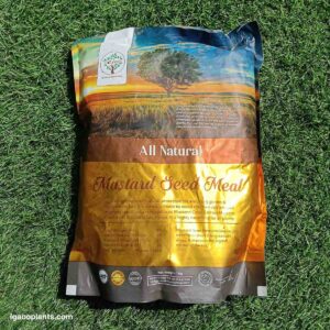 Mustard Cake 1 Kg | Organic Sarso Khali