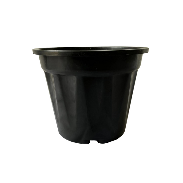 10 Inch Black Plastic Pot