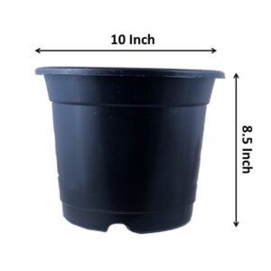 10 inch black pot – LgaooPlants