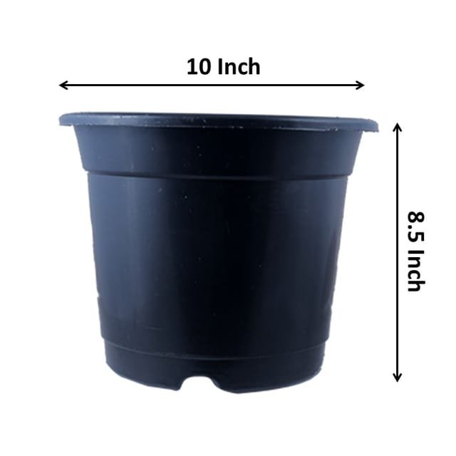 10 inch black pot - LgaooPlants