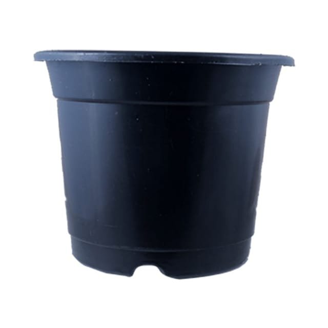 12 Inch Black Plastic Pot - LgaooPlants